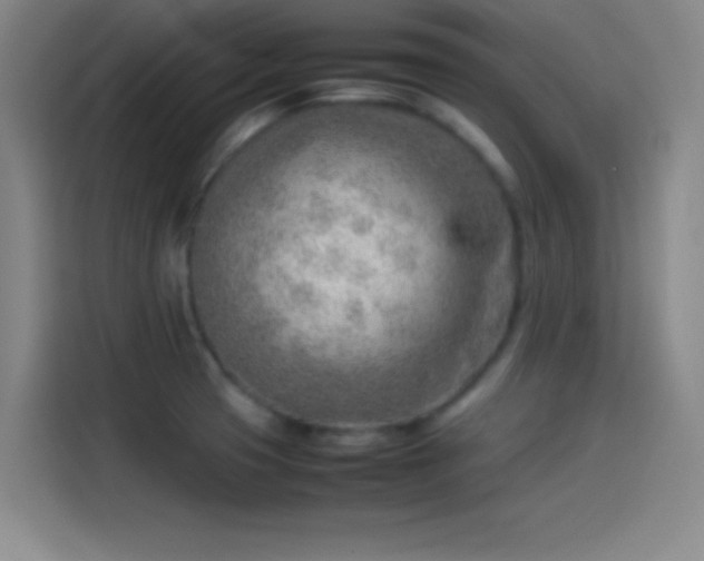 X0000114061425200910131136