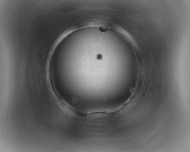 X0000114061427200910131136