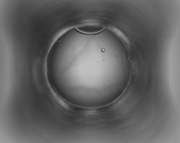 X0000114061431200910131137