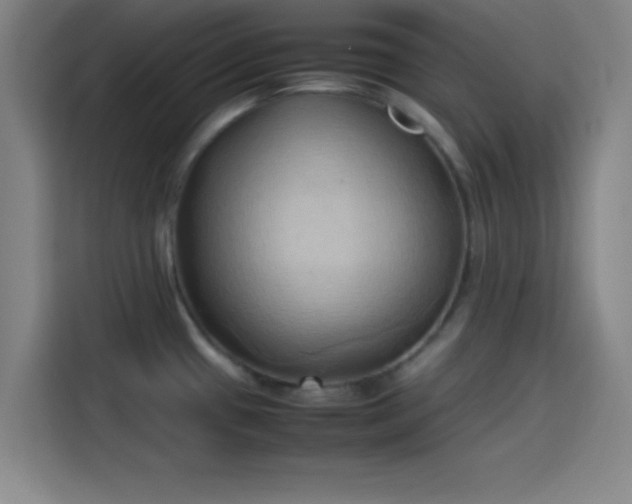 X0000114061433200910131137