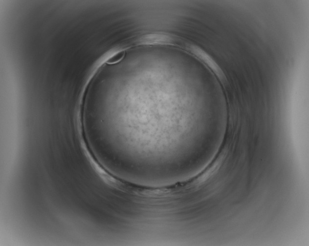 X0000114061434200910131137