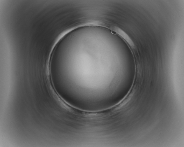 X0000114061436200910131137