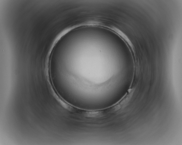 X0000114061437200910131137