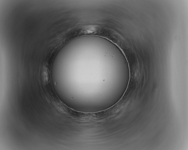 X0000114061442200910131136