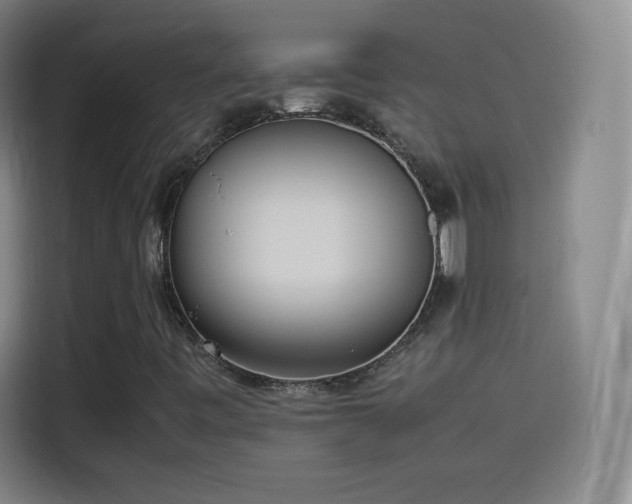 X0000114061443200910131136