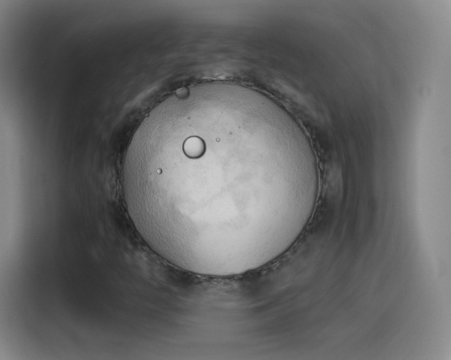 X0000114061446200910131136