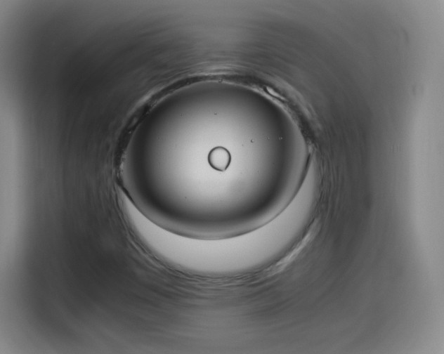 X0000114061449200910131136