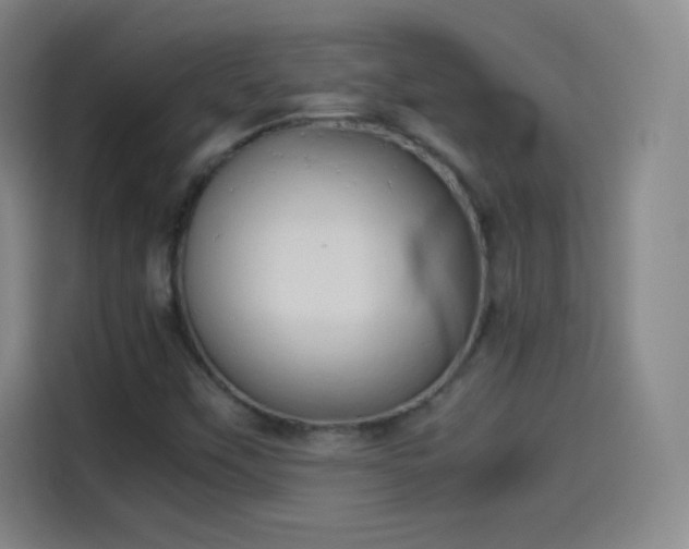 X0000114061451200910131136