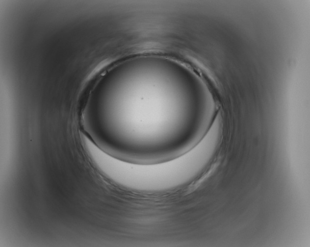 X0000114061453200910131136