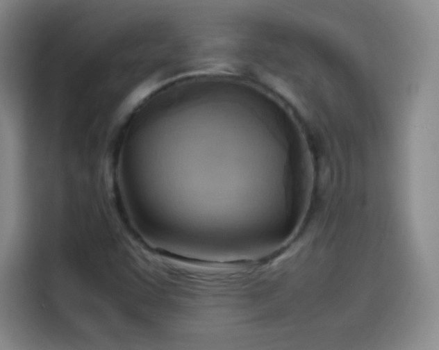 X0000114061455200910131136