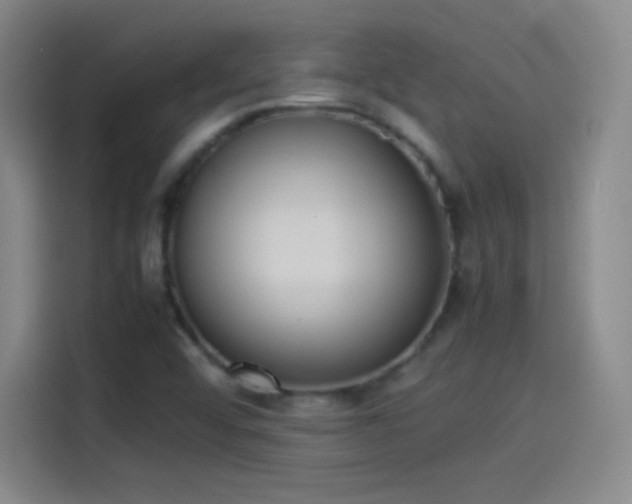 X0000114061456200910131136