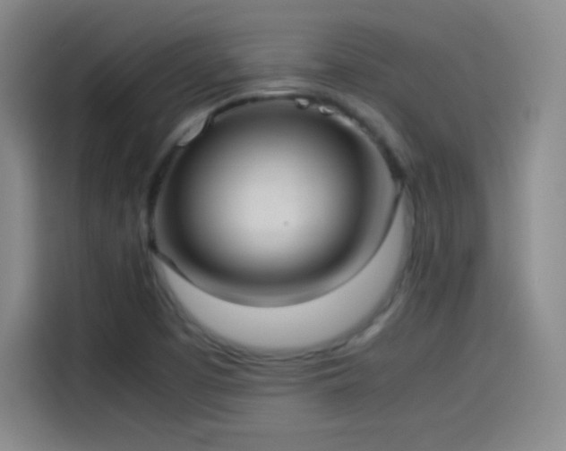 X0000114061457200910131136