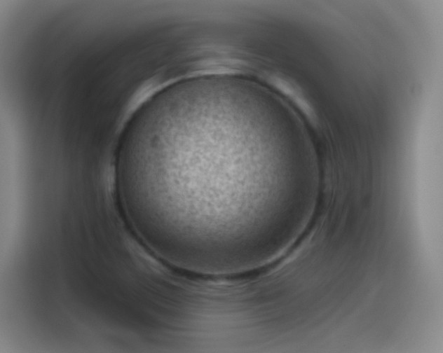 X0000114061459200910131136