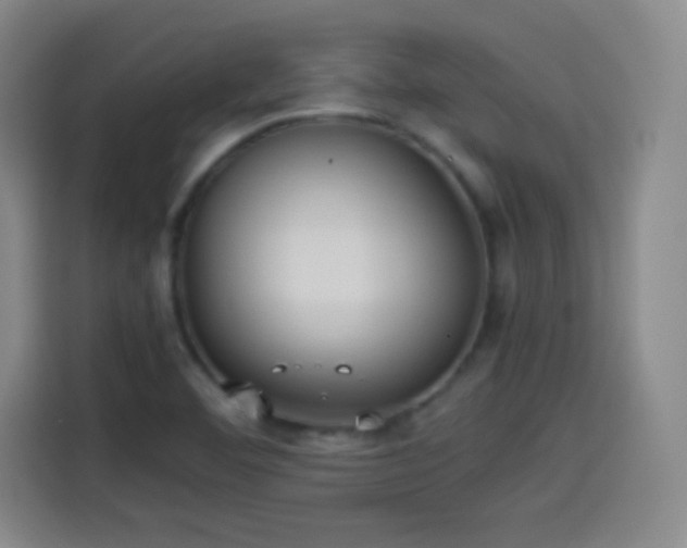 X0000114061460200910131136