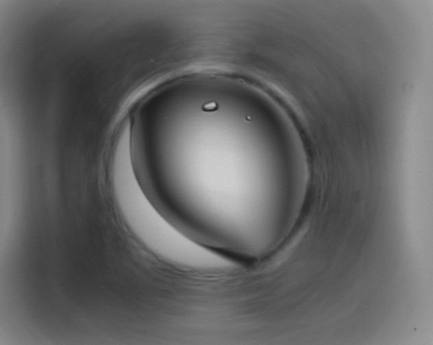 X0000114061461200910131136