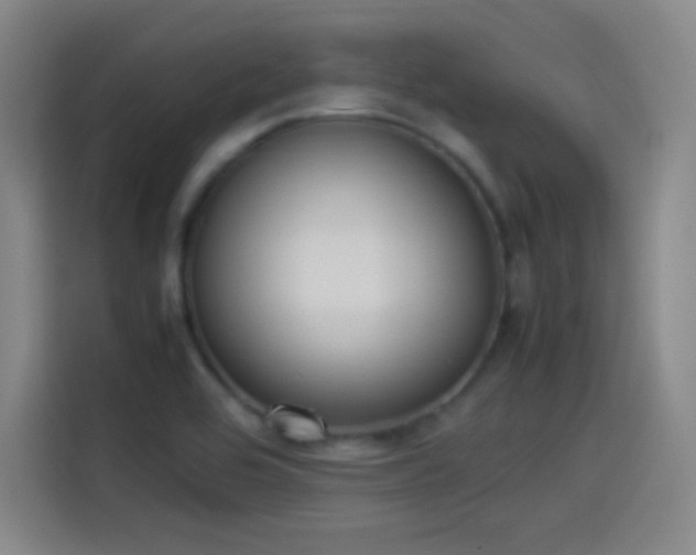 X0000114061464200910131136