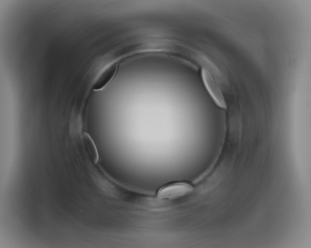 X0000114061465200910131136