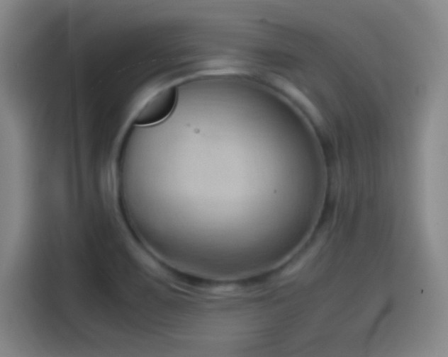 X0000114061467200910131136