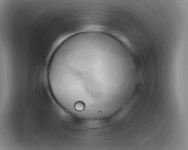 X0000114061470200910131136