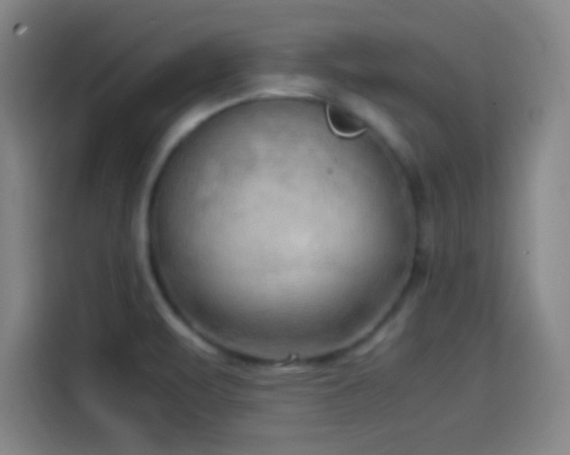 X0000114061471200910131136