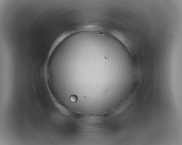 X0000114061474200910131136