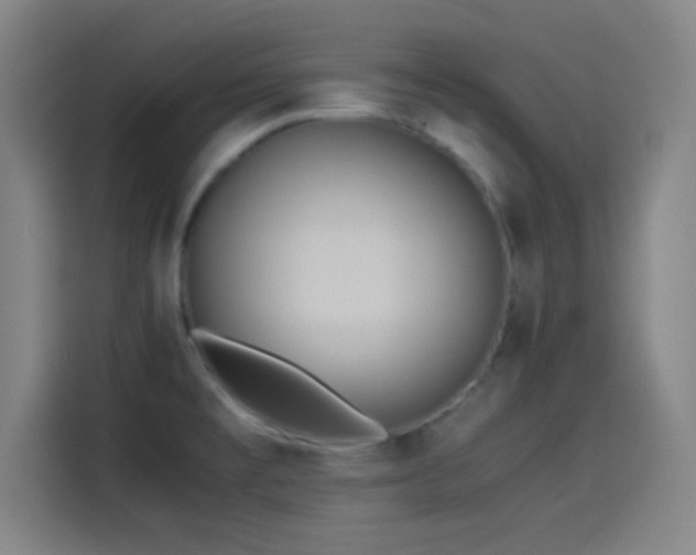 X0000114061477200910131136