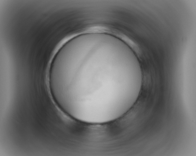 X0000114061478200910131136