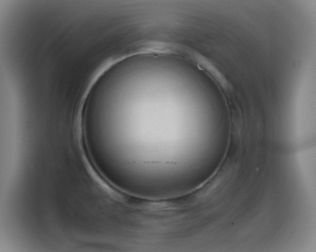 X0000114061479200910131136