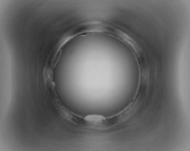 X0000114061481200910131135