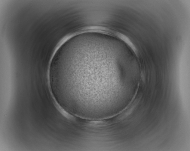 X0000114061482200910131135