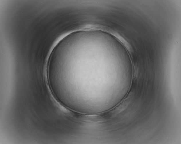 X0000114061486200910131135