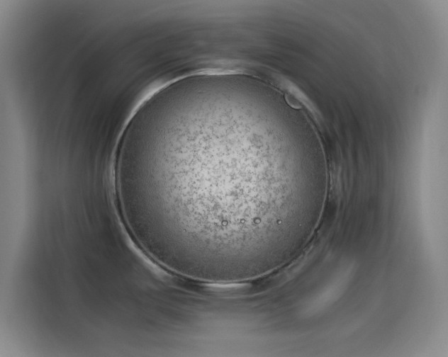 X0000114061487200910131135