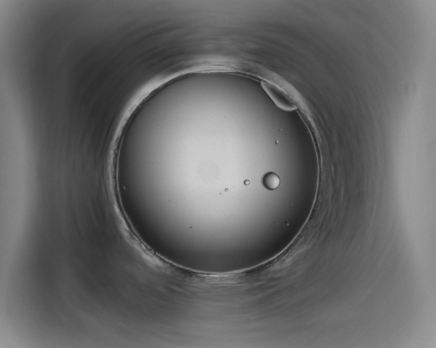 X0000114061488200910131135