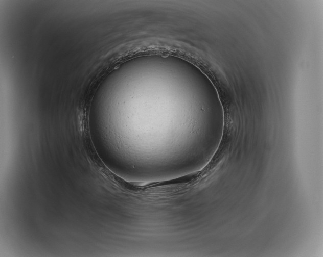 X0000114061490200910131135