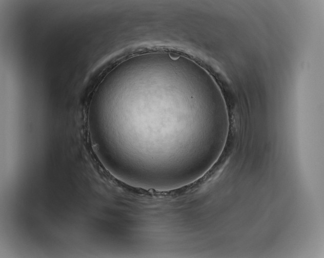 X0000114061494200910131135