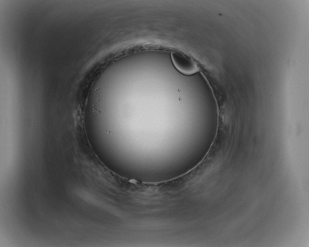 X0000114061495200910131135