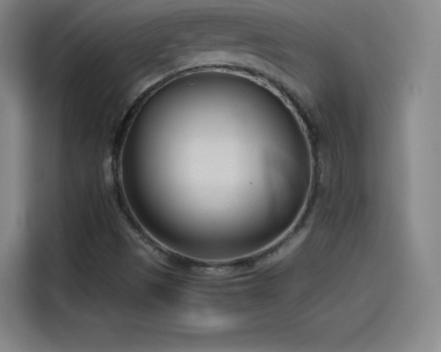 X0000114061497200910131135