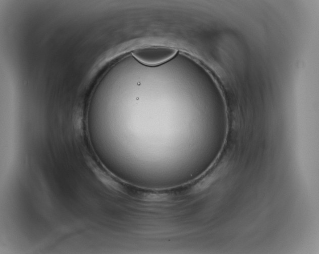 X0000114061499200910131135