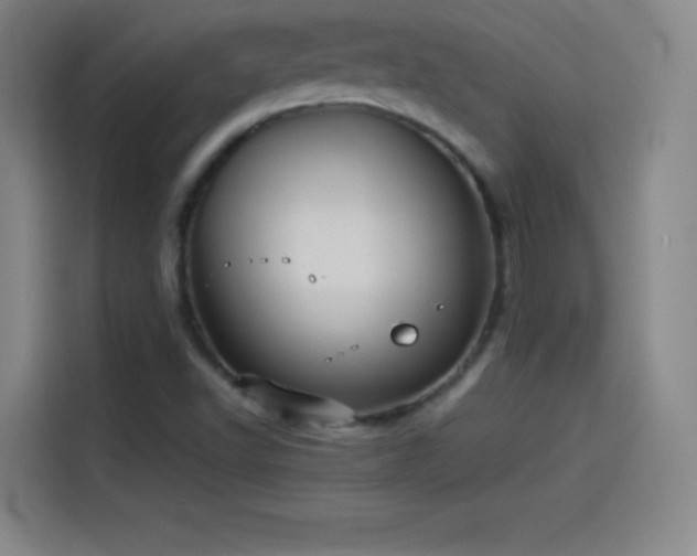 X0000114061502200910131135