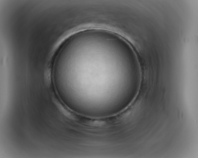 X0000114061503200910131135