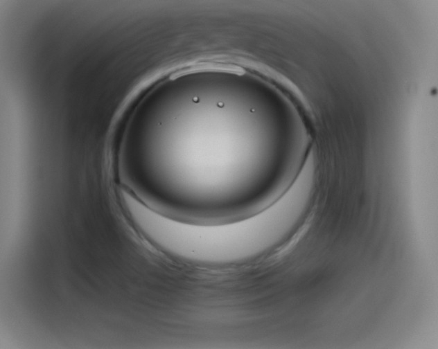 X0000114061506200910131135