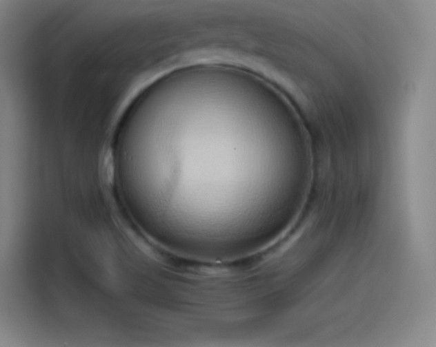 X0000114061509200910131135