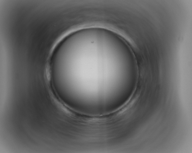 X0000114061510200910131135