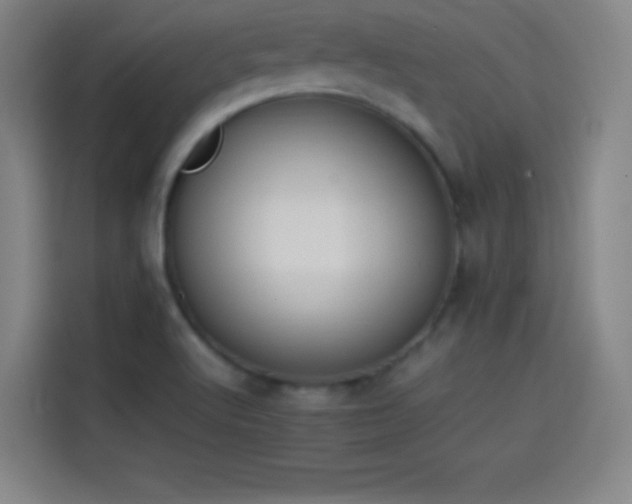 X0000114061512200910131135