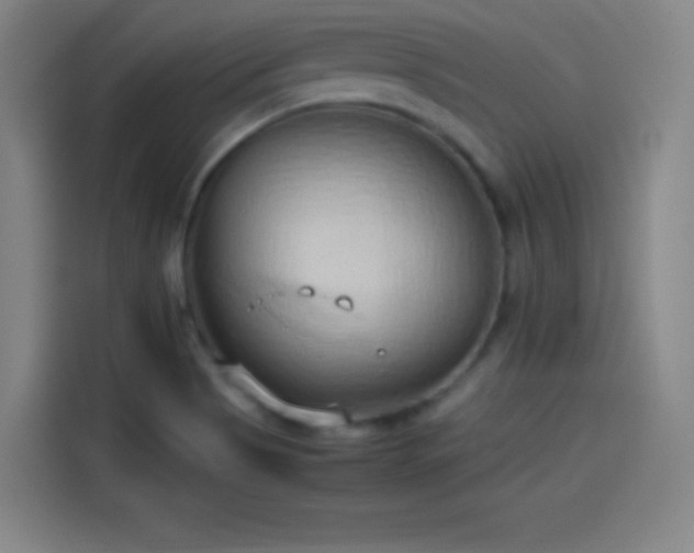 X0000114061513200910131135