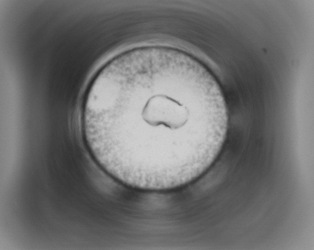 X0000114061514200910131135