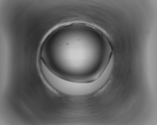 X0000114061518200910131135