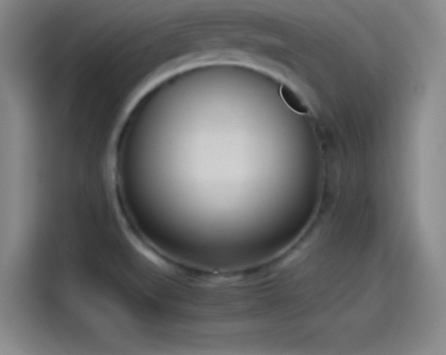 X0000114061519200910131135