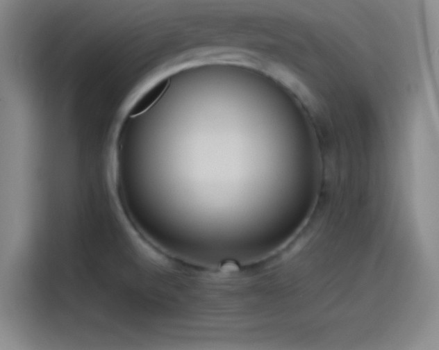 X0000114061520200910131135