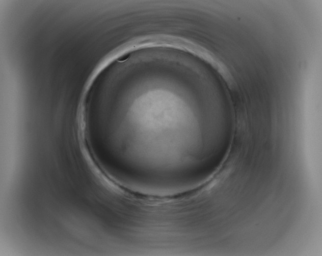 X0000114061522200910131135